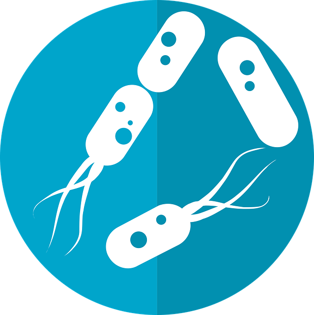 Probiotique c'est quoi? à quoi servent les probiotiques