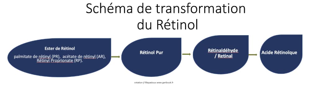 schema retinol peau transformation acide retinoique