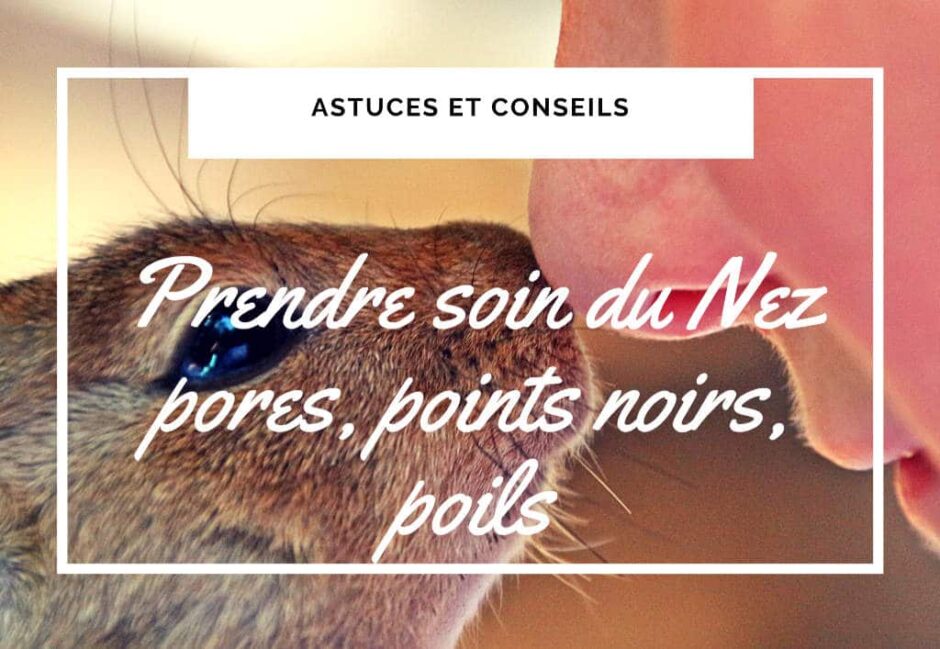 Comment prendre soin de son nez points noirs, pores, poils